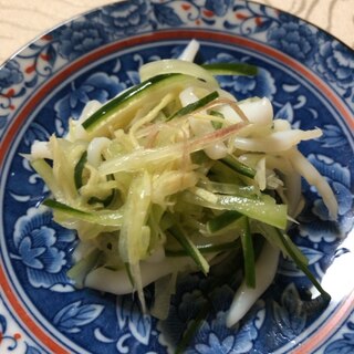 胡瓜 いか 生姜 みょうがの酢の物